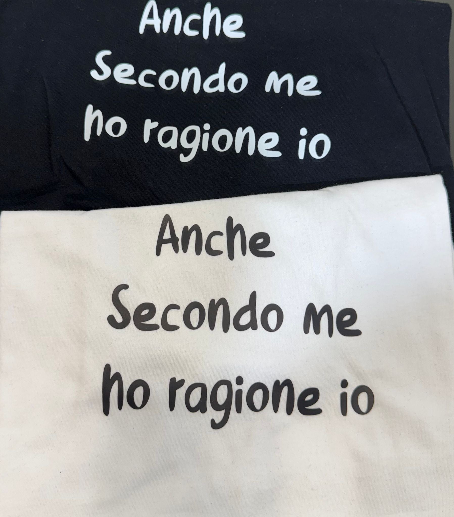 t-shirt anche secondo me ho ragione io