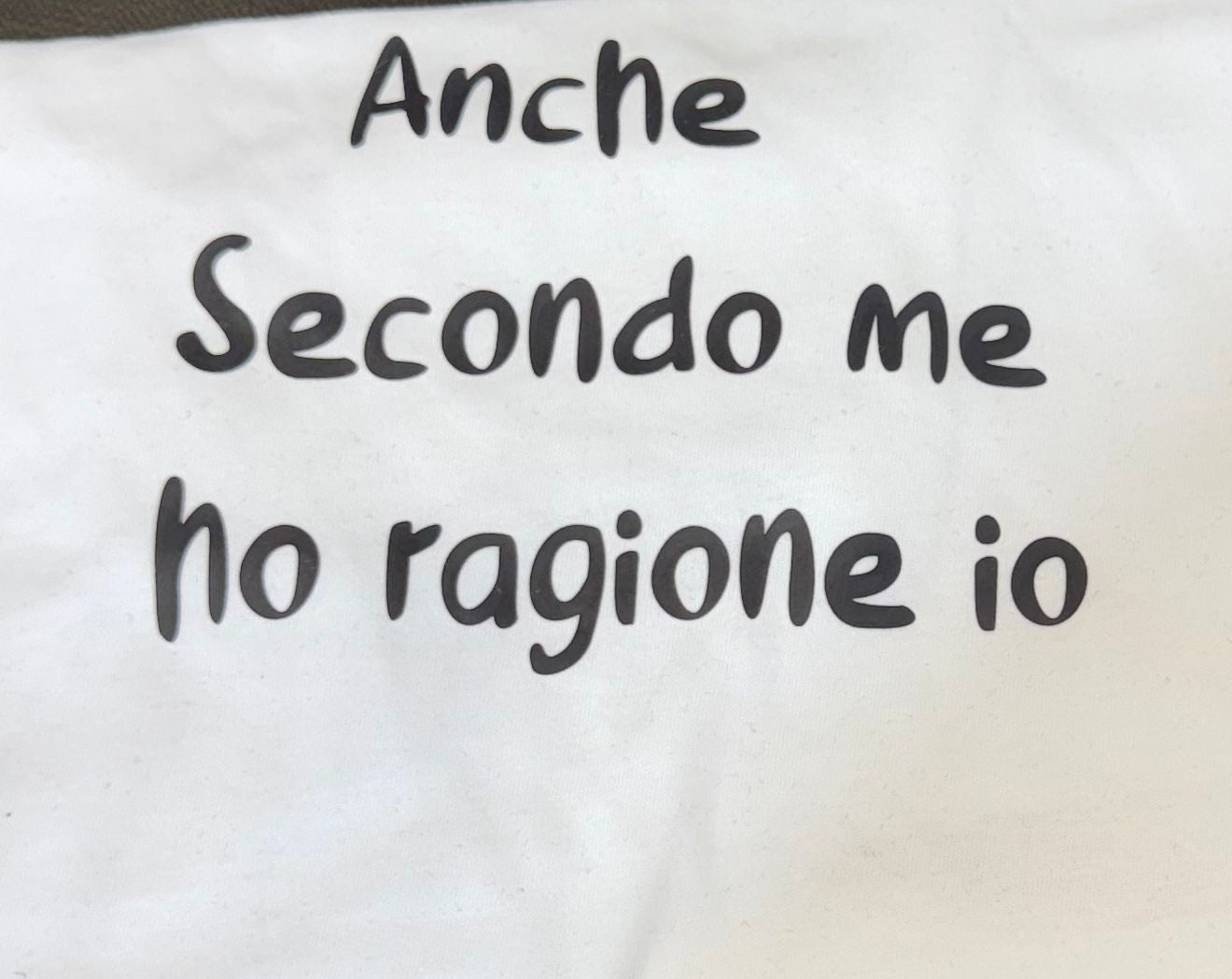t-shirt anche secondo me ho ragione io