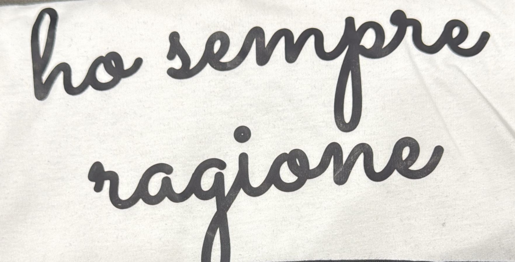 t-shirt ho sempre ragione